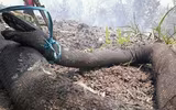 Indonesia: Bầu trời 