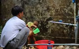 Cuộc đời 