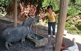 Cuộc đời 