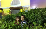 Cuộc đời 