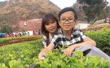 Cuộc đời 