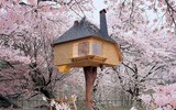 [ẢNH] Những ngôi nhà khiến cả thế giới phải 
