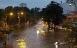 [ẢNH] TP.HCM: Triều cường dâng gây vỡ bờ bao, nước 