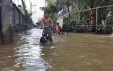 [ẢNH] TP.HCM: Triều cường dâng gây vỡ bờ bao, nước 