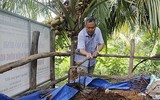 [ẢNH] Thay vì đốt bỏ gây khói mù mịt, rơm rạ có thể ‘biến’ thành tiền