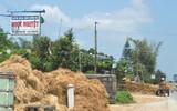 [ẢNH] Thay vì đốt bỏ gây khói mù mịt, rơm rạ có thể ‘biến’ thành tiền