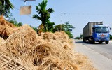 [ẢNH] Thay vì đốt bỏ gây khói mù mịt, rơm rạ có thể ‘biến’ thành tiền