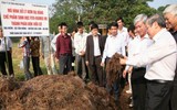 [ẢNH] Thay vì đốt bỏ gây khói mù mịt, rơm rạ có thể ‘biến’ thành tiền