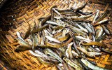 [ẢNH] Những món ngon nhắc đến là 