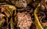 [ẢNH] Những món ngon nhắc đến là 