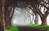 [ẢNH] Chiêm ngưỡng những đường hầm đặc biệt nhất thế giới khiến nhiều người ngỡ ngàng