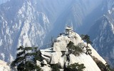[ẢNH] Ghé thăm những nhà hàng thú vị và kỳ lạ bậc nhất thế giới