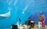 [ẢNH] Ghé thăm những nhà hàng thú vị và kỳ lạ bậc nhất thế giới