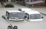 Hàng triệu người phải di tản, hàng hóa siêu thị bị 