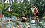 [ẢNH] Những bức ảnh đẹp lung linh đến khó tin sau khi rác rưởi được dọn dẹp