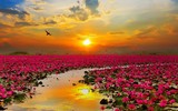 [ẢNH] Chiêm ngưỡng vẻ đẹp của những hồ nước kỳ lạ nhất thế giới