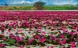 [ẢNH] Chiêm ngưỡng vẻ đẹp của những hồ nước kỳ lạ nhất thế giới