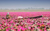 [ẢNH] Chiêm ngưỡng vẻ đẹp của những hồ nước kỳ lạ nhất thế giới