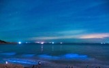[ẢNH] Vẻ đẹp huyền diệu của những bãi biển tự phát sáng trong đêm