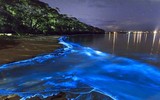 [ẢNH] Vẻ đẹp huyền diệu của những bãi biển tự phát sáng trong đêm