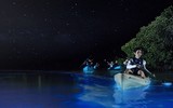 [ẢNH] Vẻ đẹp huyền diệu của những bãi biển tự phát sáng trong đêm