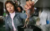 [ẢNH] Rợn người với 9 món ăn 