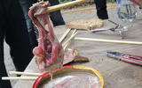 [ẢNH] Rợn người với 9 món ăn 