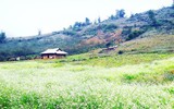 [ẢNH] 9 địa điểm du lịch ở Mộc Châu 
