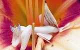 [ẢNH] Chiêm ngưỡng 