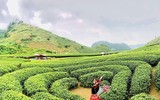 [ẢNH] 9 địa điểm du lịch ở Mộc Châu 