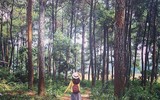 [ẢNH] 9 địa điểm du lịch ở Mộc Châu 