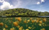 [ẢNH] Thánh địa nơi động vật chính là 