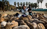 [ẢNH] Thánh địa nơi động vật chính là 