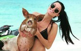 [ẢNH] Thánh địa nơi động vật chính là 