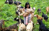 [ẢNH] Thánh địa nơi động vật chính là 