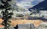[ẢNH] 9 địa điểm du lịch ở Mộc Châu 