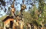 Đặt chân lên những hòn đảo kỳ dị nhất hành tinh