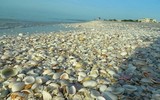 Đặt chân lên những hòn đảo kỳ dị nhất hành tinh