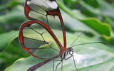 [ẢNH] Chiêm ngưỡng 