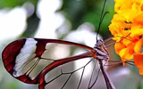 [ẢNH] Chiêm ngưỡng 