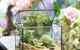 [ẢNH] Những món quà handmade ý nghĩa nên tặng nhân ngày 20-10