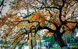[ẢNH] Những địa điểm vui chơi quanh Hà Nội cho ngày Phụ nữ Việt Nam 20-10