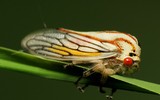 [ẢNH] Chiêm ngưỡng 