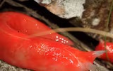 [ẢNH] Chiêm ngưỡng 
