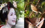 Muôn kiểu làm đẹp siêu 