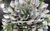 [ẢNH] 