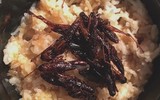 [ẢNH] Những món ăn kỳ lạ có 