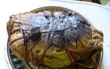 [ẢNH] Những món ăn kỳ lạ có 