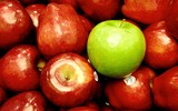 [ẢNH] 10 loại thực phẩm giúp bạn đẩy lùi nguy cơ ung thư vú