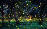 [ẢNH] Bất ngờ trước khả năng tự phát sáng của một số loài sinh vật